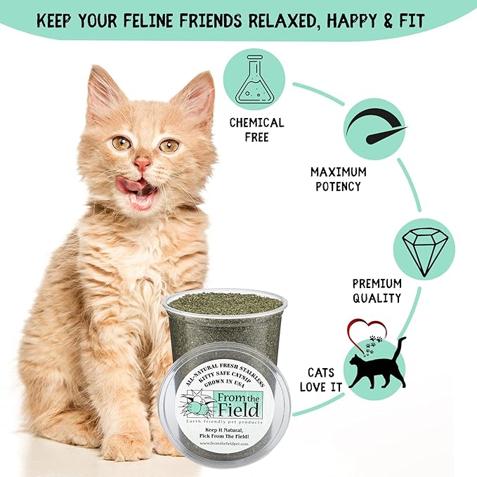 From The Field 6-Ounce Catnip Kitty Safe Stalkless Tub