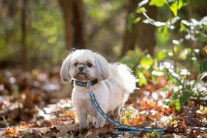 Pets First NHL SAN Jose Sharks Leash for Dogs & Cats, Medium. - Walk Cute & Stylish! The Ultimate Hockey Fan Leash!, 4 ft Long x 0.62 in Width, SJS-3031-MD