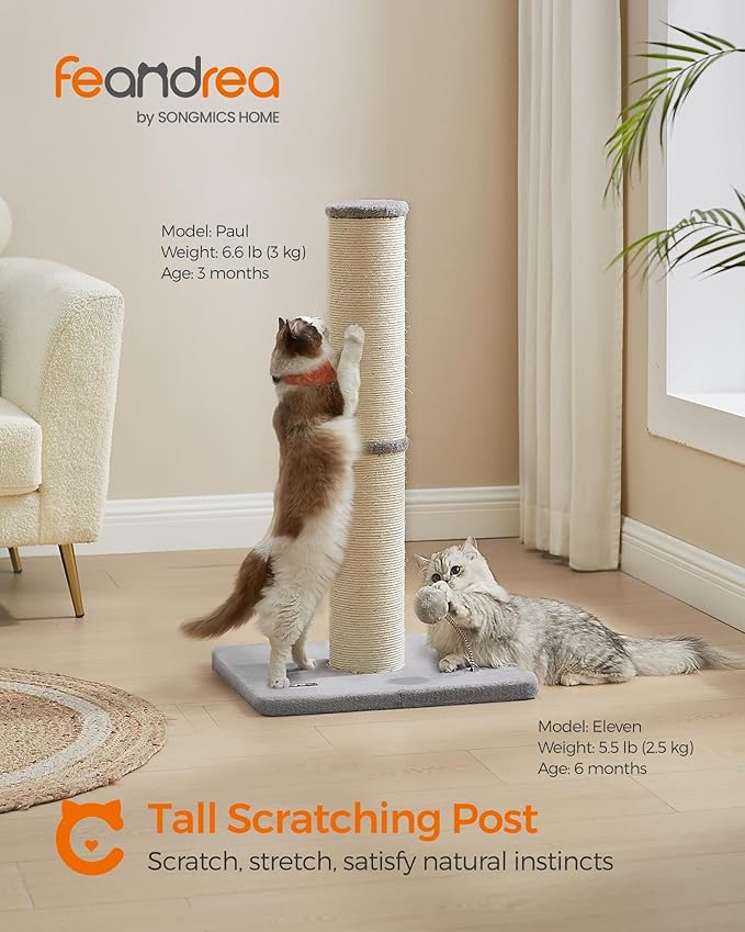 Feandrea Cat Scratching Post, 33.5-Inch Tall Cat Scratcher for Medium and Large Cats, Sisal Scratch Pole, Spring Pompom with Built-in Bell, Dove Gray UPCA041G01