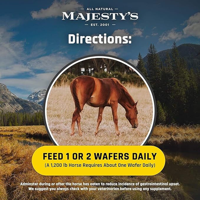 Majesty's Flex XT Wafers - Superior Horse/Equine Joint Support with Increased Supplement Levels - Glucosamine, MSM, Yucca, Vitamin C (Peppermint, 2 Pack(120 Count Total))