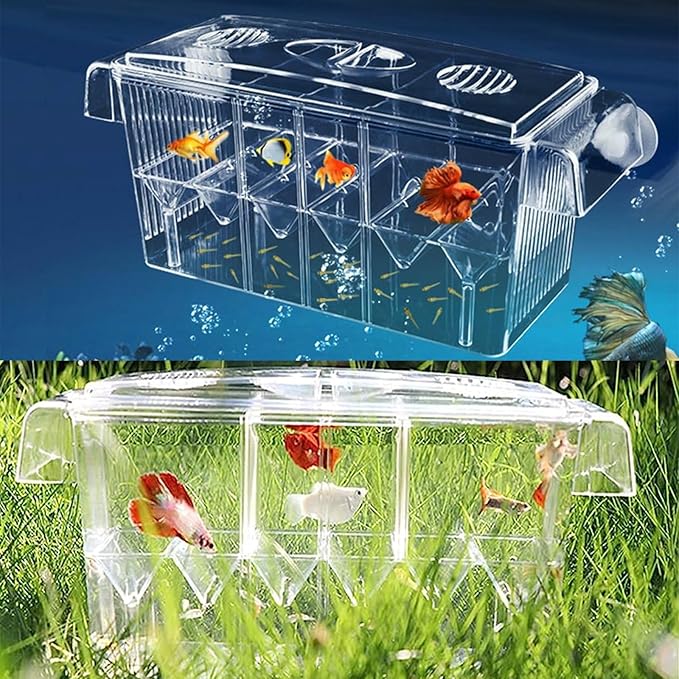 PENCK Fish Breeding Box for Aquarium, Acrylic Plastic Breeder Box for Fish Tank, Baby Snails Fishes Shrimp Clownfish Nursery Container, Fish Hatchery Incubator with Suction Cups