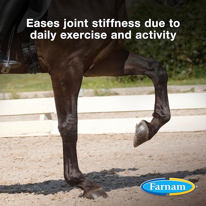 Farnam Next Level Joint Fluid Supplement for horses and dogs, Helps maintain connective tissue to ease joint stiffness due to daily activity, 16 ounces, 16 day supply