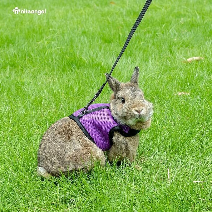 Niteangel Adjustable Soft Harness with Elastic Leash for Rabbits (XL, Purple)