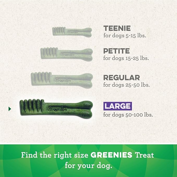 Greenies Pumpkin Spice Flavor Large Size, Veterinarian-Recommended for Dental Care, Dog Treat Chews, Limited Edition, 12 oz., Pack of 8