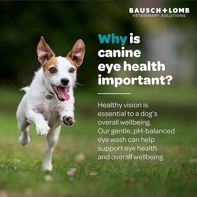 Project Watson Bausch + Lomb Eye Wash for Dogs, Help Remove Tear Stains & Support Eye Health, Gentle pH Balanced Formula to Help Reduce Risk of Infection, Fragrance Free, 4 Fl Oz