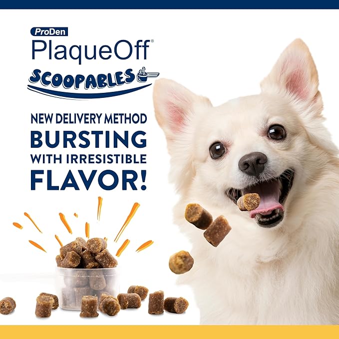 ProDen PlaqueOff Scoopables - Hickory Smoked Bacon Flavor Dental Bites for Small Dogs, Natural Kelp for Plaque & Tartar Control, Freshens Breath - Small & Medium Breed Dental Care- 45 Scoops