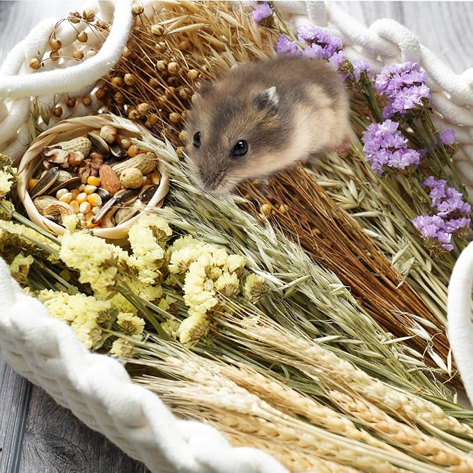 Natural Hamster Bedding, Hamster Sprays Sets and Forage, Organic Hamster Treats Chews Toys Bunny Herbs Flowers Grain Corn Seeds Sorghum Hamster Cage Accessories Enclosure Habitat Decor for Small Pets