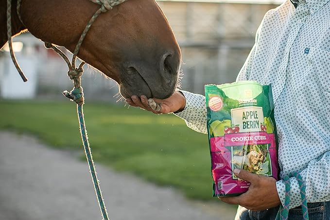 Standlee Apple Berry Cookie Cubes, Forage Based Horse Treat, 2lb