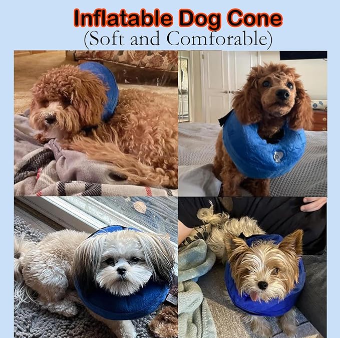 Soft Dog Cone Collar for Large Medium Small Dogs and Cats After Surgery, Inflatable Dog Neck Donut Collar,Inflatable Cat Cone Collar,E-Collar for Dogs Recovery, Dog Cones Alternative (Small, Blue)