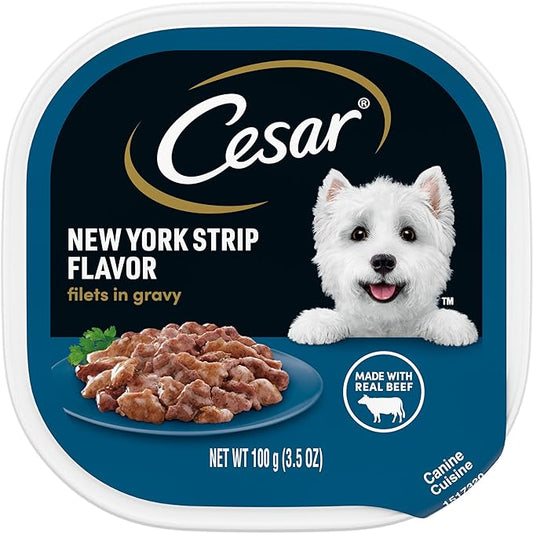 CESAR Adult Soft Wet Dog Food Filets in Gravy, New York Strip Flavor, 3.5 oz. Tray