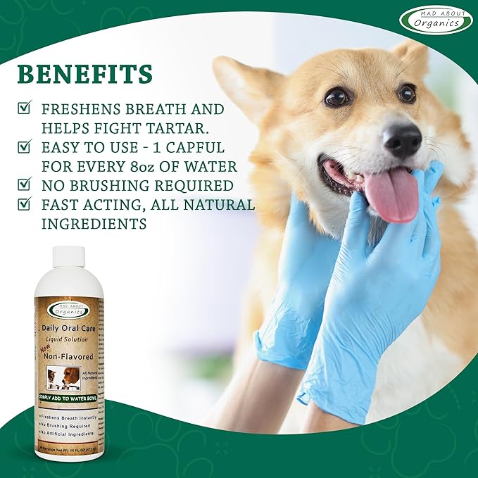 Dog and Cat Dental Water Additive 16oz Non Flavored Formula - Cat and Dog Breath Freshener, All Natural Pet Supplies Hard Plaque Remover, Dog Teeth Cleaning Water Drop Solutions