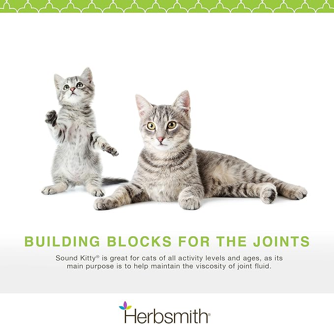 Herbsmith Sound Kitty – 5-in-1 Joint Care for Cats with Chondroitin, Glucosamine & MSM- Natural Joint Pain Relief for Cats – 75g