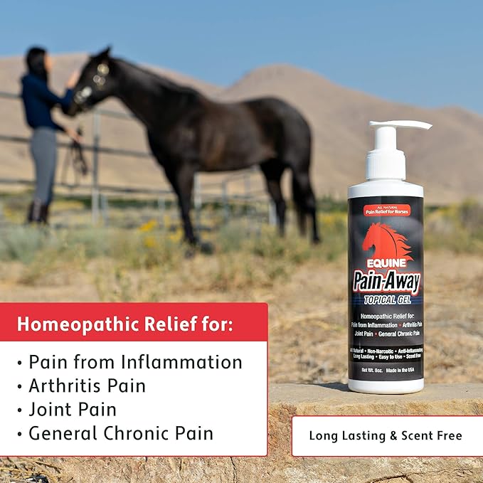 Liniment, All-Natural Chronic Pain Reliever for Horses, Relieves Pain from Arthritis, Hip Dysplasia, and Chronic Joint Pain, Homeopathic, Hypoallergenic, and NSAID-Free