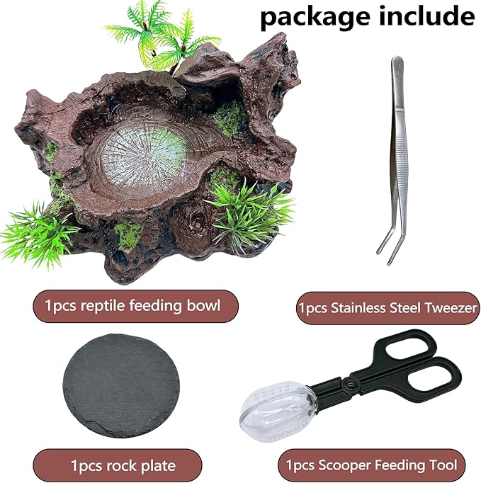 Reptile Feeding Bowl Resin Turtle Food Water Dish Tank Decor Basking Climbing Platform with Feeding Cleaning Tools for Lizard Gecko Chameleon Frog Beared Dragon Spider