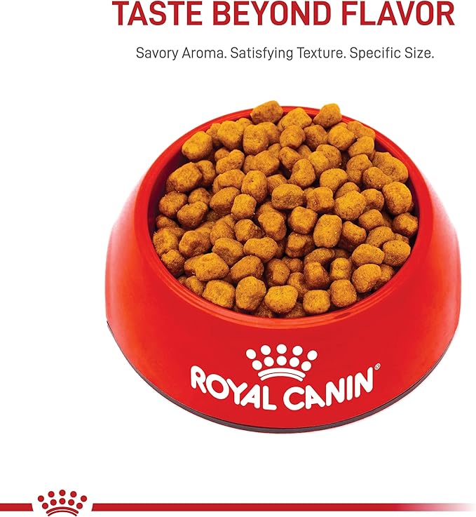 Royal Canin Shih Tzu Adult Breed Specific Dry Dog Food, 10 lb bag