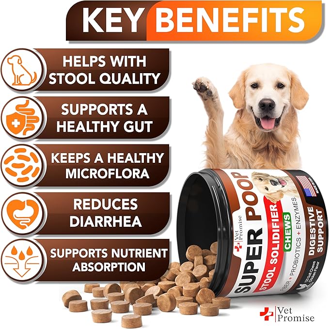 Super Poop Probiotics for Dogs - Dog Stool Softener - Fiber for Dogs Supplement - 6 Probiotics and Digestive Enzymes - Healthy Gut - Perfect for Firm Stool & Diarrhea Relief - 120 Chews