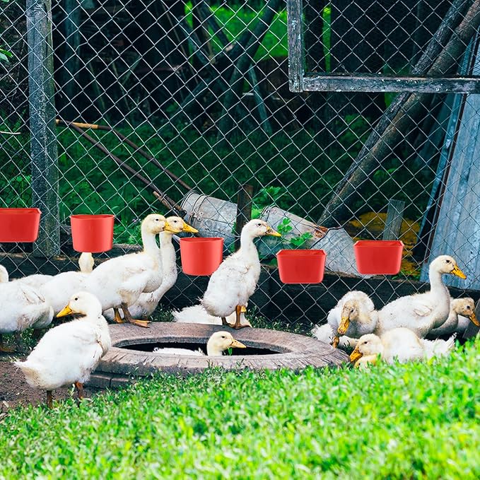 50 Pcs 4.9 x 3.7 x 2.4'' Cage Cups Chicken Feeders 3.2 x 3.2 x 2.4'' Cage Cups Birds Feeders Hanging Chicken Water Cups Seed Bowl Coop Cups for Parrot Poultry Pigeon Feeding Watering, Red