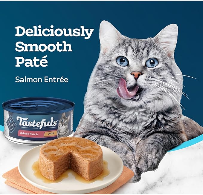 Blue Buffalo Tastefuls Wet Cat Food Paté, Made with Natural Ingredients | Salmon Entrée, 5.5-oz. Cans (24 Count)