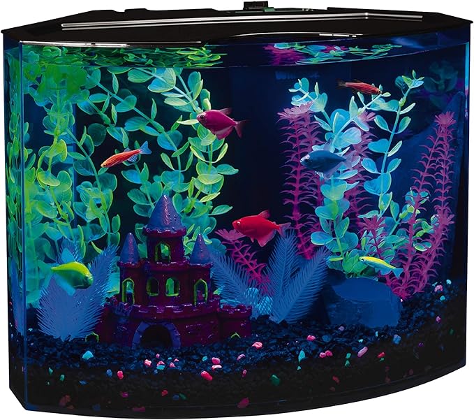 GloFish Aquarium Fish Tank Kits, Includes Fish Tank Decorations and LED Lighting, Tetra Filter and Water Conditioner 5-gallon crescent kit