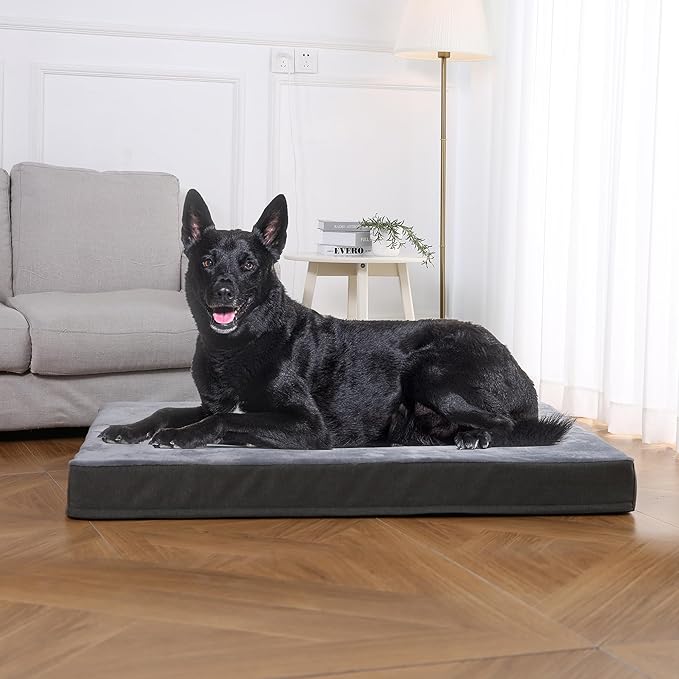 Amazon Basics Gel Foam Mattress Dog Pet Bed with Removable Cover, X-Large, Grey, 41"L x 29"W x 4"H