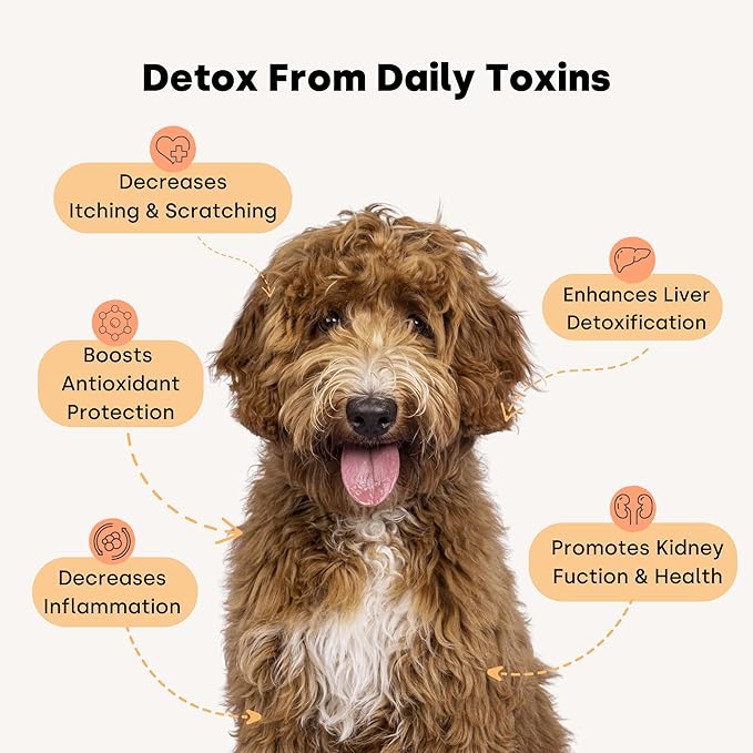 Kayode City Dog Detox - Dog Liver Supplement & Dog Anti Inflammatory. Helps Detoxify and A Natural Dog Skin Irritation Treatment. Itch Relief Dog Chews & Dog Liver Support. with Milk Thistle for Dogs