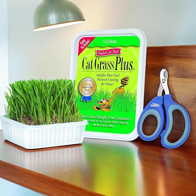 Cat Grass Plus Kit, 528 Oz Bundled With Pet Nail Clipper, Grow Lush Indoors, With Seeds Potting Mix, Promotes Digestion Prevents Hairballs - [Pack Of 3]