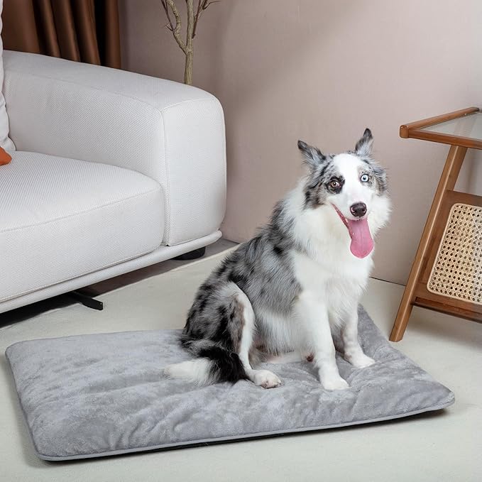 Mora Pets Dog Crate Pad Waterproof Dog Bed Mat Ultra Soft Pet Bed with Removable Washable Cover Anti-Slip Bottom Memory Foam Kennel Pad for Medium Large Dogs 48 x 29 inch Light Grey
