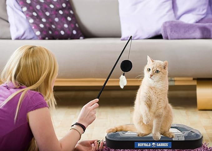 Pets FIrst Cat Scratching Toy NHL Buffalo Sabres Hockey Field Cat Scratcher Tiy with Interactive Cat Ball Bell in Tracks. 5-in-1 CAT Toy