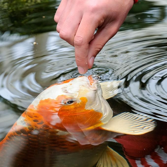 TetraPond Variety Blend, Pond Fish Food, for Goldfish and Koi Yellow 2.25 Pound (Pack of 1) & in Plus Goldfish Flakes 7.06 Ounces, Balanced Diet, with Algae to Promote Health