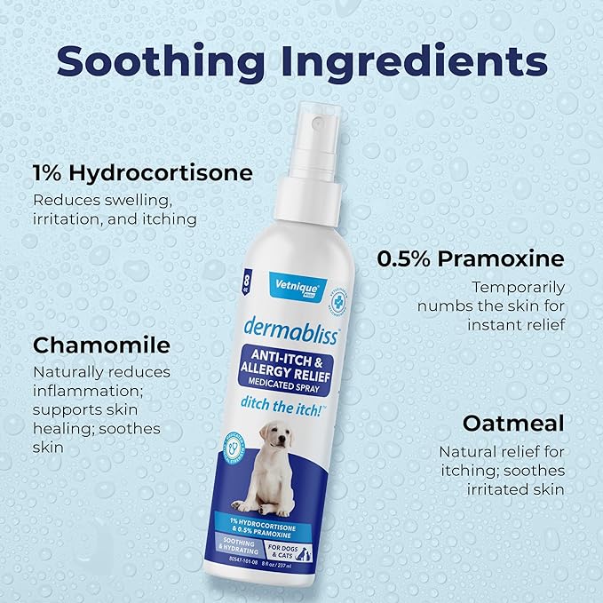 Vetnique Dermabliss Anti Itch Spray for Dogs & Cats with Hydrocortisone for Allergies and Immediate Dog Itching Skin Relief - Fragrance Free with Soothing Oat Extract (8oz Anti Itch Spray)