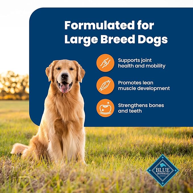 Blue Buffalo Life Protection Formula Large Breed Adult Dry Dog Food, Promotes Joint Health and Lean Muscles, Made with Natural Ingredients, Chicken & Brown Rice Recipe, 30-lb. Bag