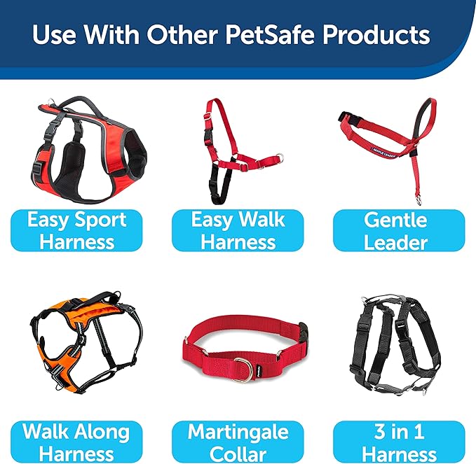 PetSafe Nylon Dog Leash – Strong, Durable, Traditional Style Leash with Easy to Use Bolt Snap – 1" x 4', Red