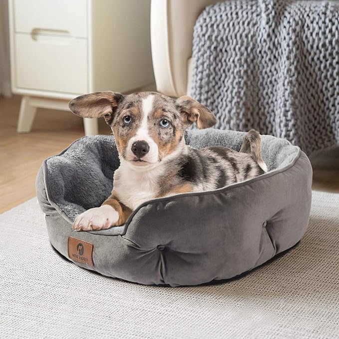 Medium Dog Bed for Medium Dogs, Large Cat Beds for Indoor Cats, Pet Bed for Puppy and Kitty, Extra Soft & Machine Washable with Anti-Slip & Water-Resistant Oxford Bottom, Grey, 25 inches
