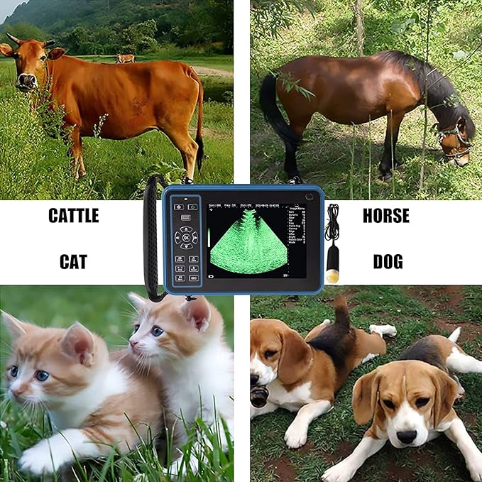 Ultrasound Scanner Veterinary for Pregnancy, Vet Digital Portable B-Ultra Sound Scanner Machine Farm Animals Pet with 3.5 Mhz Mechanical Probe 8 Color Panels for Sheep, Dog, Cat And Pig Pregnancy Test