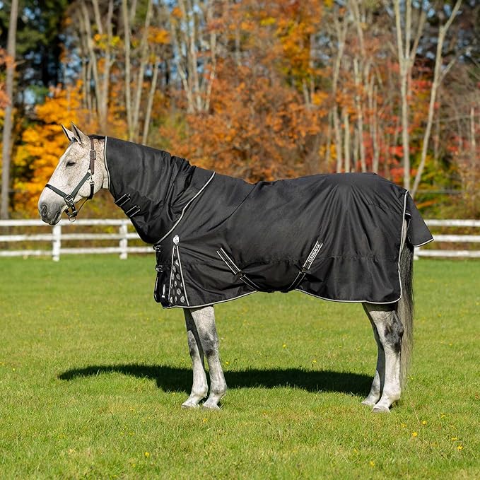 Equinavia Norse No Fill Horse Rain Blanket (0g) | Waterproof Lightweight Turnout Sheet - Black - 66 in - Black - 66 in