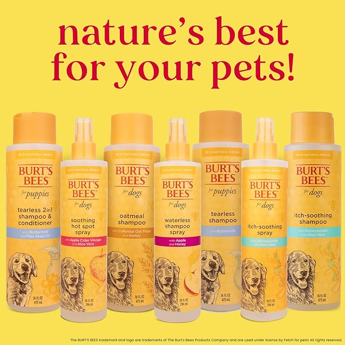 Burt's Bees for Pets Naturally Derived Itch Soothing Spray with Honeysuckle - Best Anti-Itch Spray for Dogs With Itchy Skin - Cruelty Free, Formulated without Sulfates and Parabens, 10 Fl Oz