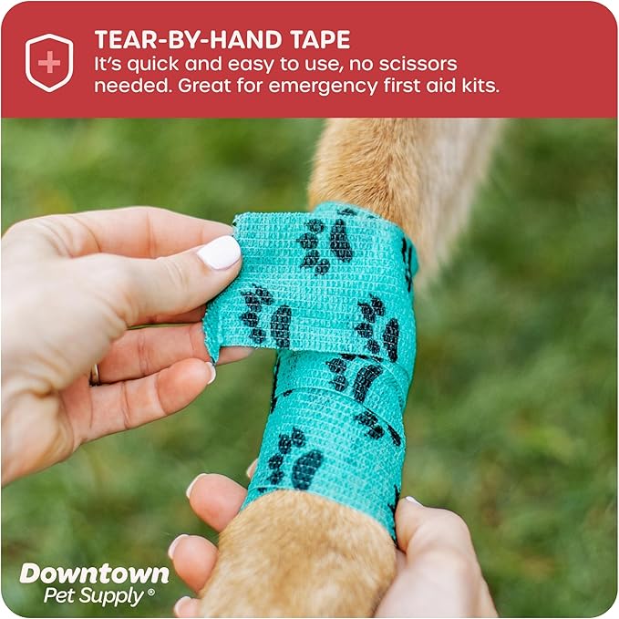 Cohesive Vet Wrap for Dogs, Self Adhesive Bandages in Bulk, Pet Cat Wound Care, Gauss Bandage for Horses by Downtown Pet Supply (Rainbow Horse, 10 Pack)