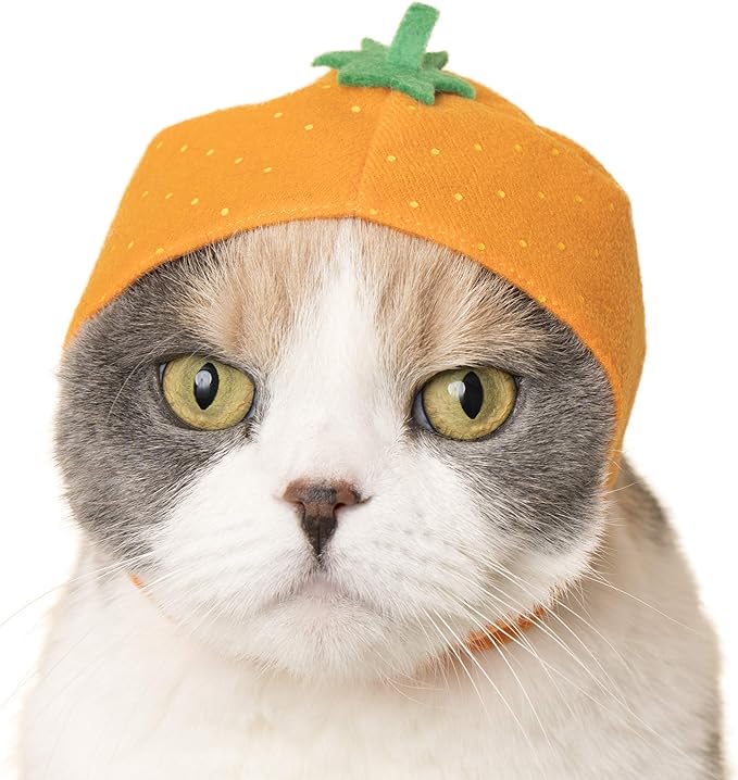 Kitan Club Cat Cap - Pet Hat Blind Box includes 1 of 6 Cute Styles - Soft, Comfortable - Authentic Japanese Kawaii Design - Animal-Safe Materials, Premium Quality (Fruit)