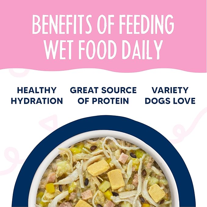 Weruva Meals 'n More Natural Wet Dog Food, Bed & Breakfast Plus Digestive Support, 3.5oz Cup (Pack of 12)