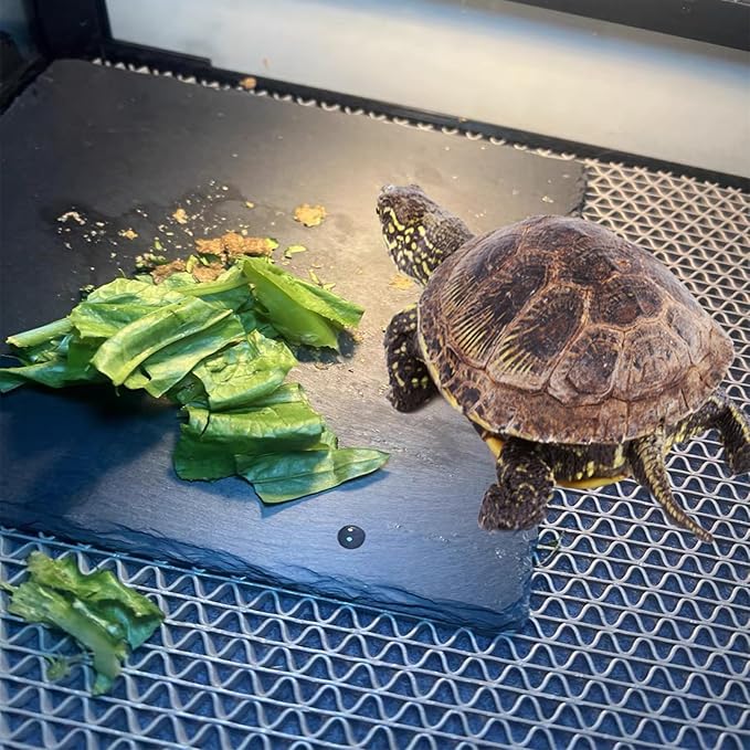 Reptile Basking Platform 2Pcs Tortoise Rock Plate Slate Feeding Platform Food Dish Bowl Turtle Bathing Rock Rest Terrace for Chameleon Lizard Bearded Dragon Gecko Snake Frog Newt (7.8''/20CM)