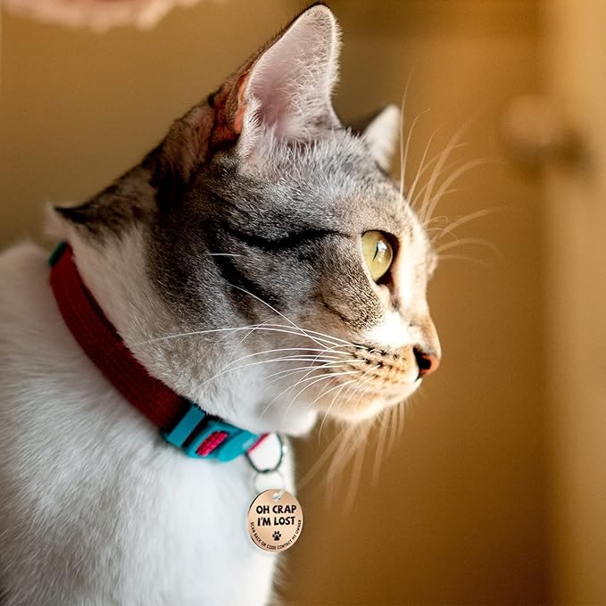 MYLUCKYTAG Stainless Steel QR Code Pet ID Tags Cat Tags - Pet Online Profile - Scan QR Receive Instant Pet Location Alert Email