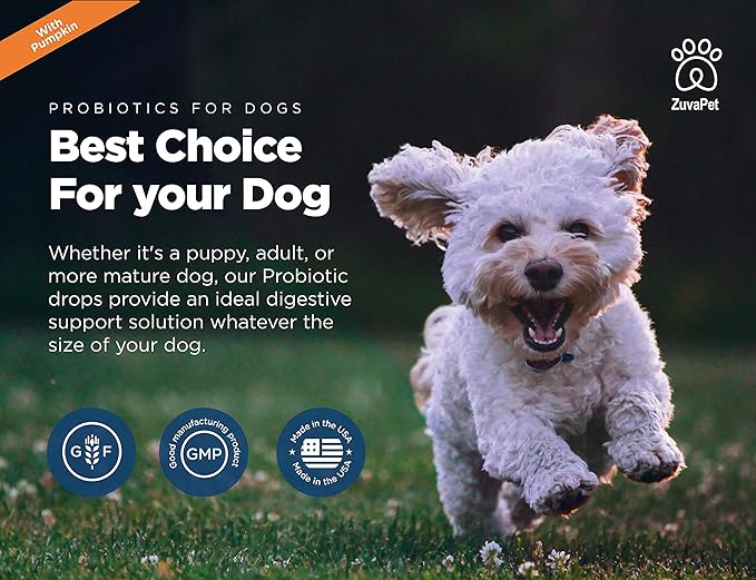 Probiotics for Dogs - Dog Probiotics for Diarrhea - Natural Digestive Enzymes for Upset Stomach Relief + Gas, Constipation Health & Itch Relief - Prebiotic Pet Supplies - 120 Servings