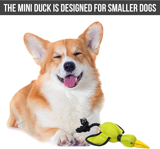 Hyper Pet Flying Series Fetching Dog Toys – Mini Duck Interactive Dog Toy Slingshots Up To 40 ft – Floats on Water