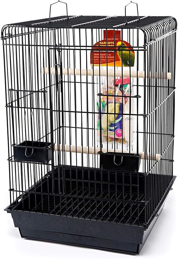 PENN-PLAX Conure & Small Parrot Starter Kit with Birdcage and Accessories – Perfect for Cockatiels, Conures, and Small Parrots – Square Dome – Black