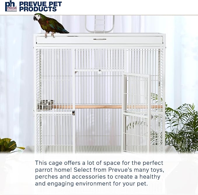 Prevue Pet Products Wrought Iron Select Bird Cage 3154C, Chalk White, 36-Inch by 24-Inch by 66-Inch