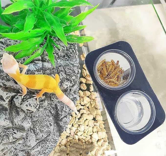 200 pcs 0.5oz Crested Gecko Food and Water Feeding Cups, Reptile Feeder Bowls, for Lizard and Other Small Pet Ledge Accessories Supplies