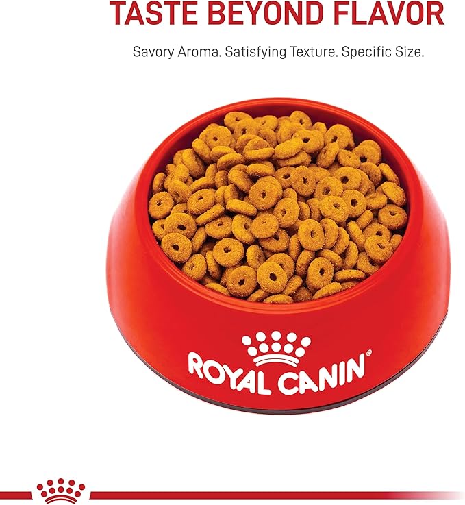 Royal Canin Feline Care Nutrition Appetite Control Dry Cat Food, 14 lb Bag