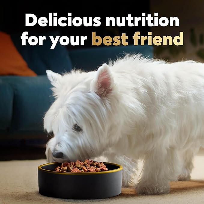 CESAR Adult Small Breed Dry Dog Food Rotisserie Chicken Flavor with Spring Vegetables Garnish, 5 lb. Bag