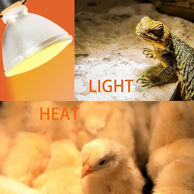 Reptile Heat Lamp Bulb Greenhouse Warming Bulb Reptile Light for Lizard, Turtle, Bearded Dragon, Hedgehogs, Snake Amphibians, Chicks, With 2 Bulb Beads (75 Watt). New Replaceable Bulbs Design