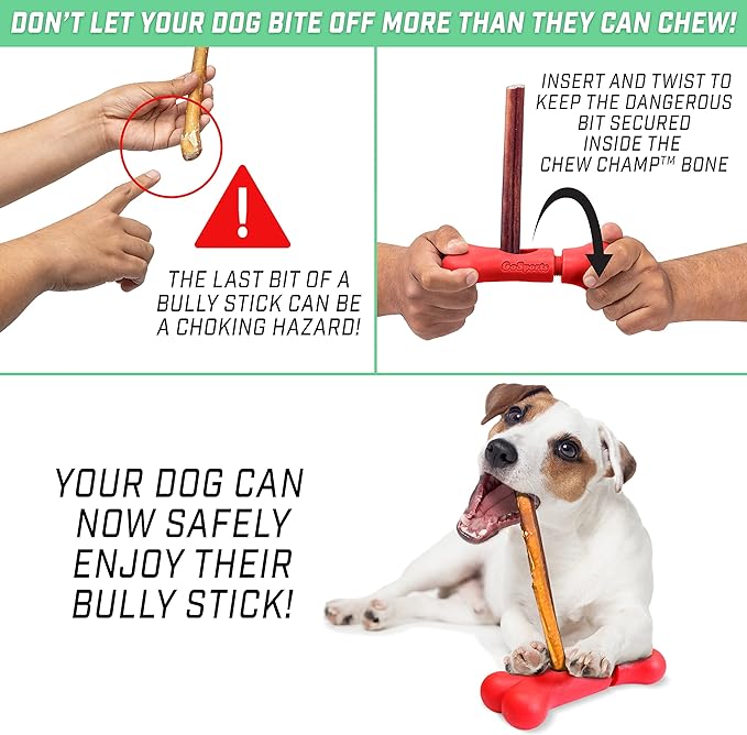 GoSports Chew Champ Bully Stick Holder for Dogs - Securely Holds Bully Sticks to Help Prevent Choking - 6 in or 8 in Size